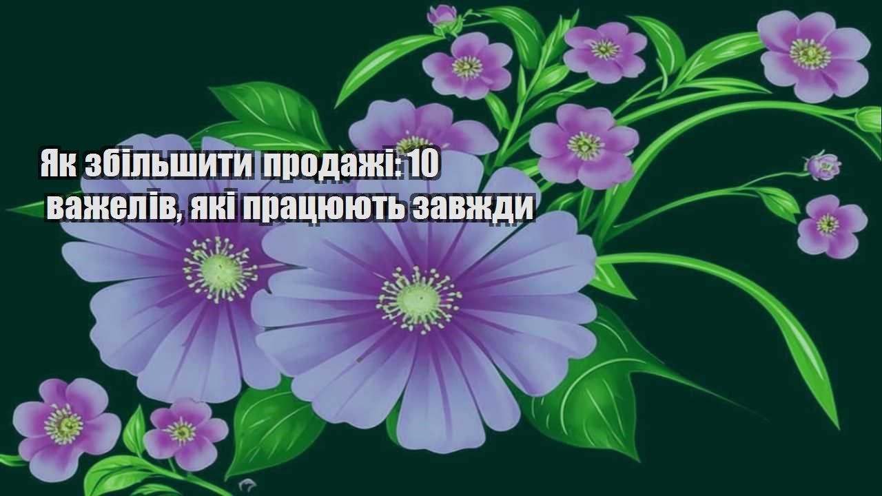 Детальніше про статтю Як збільшити продажі: 10 важелів, які працюють завжди