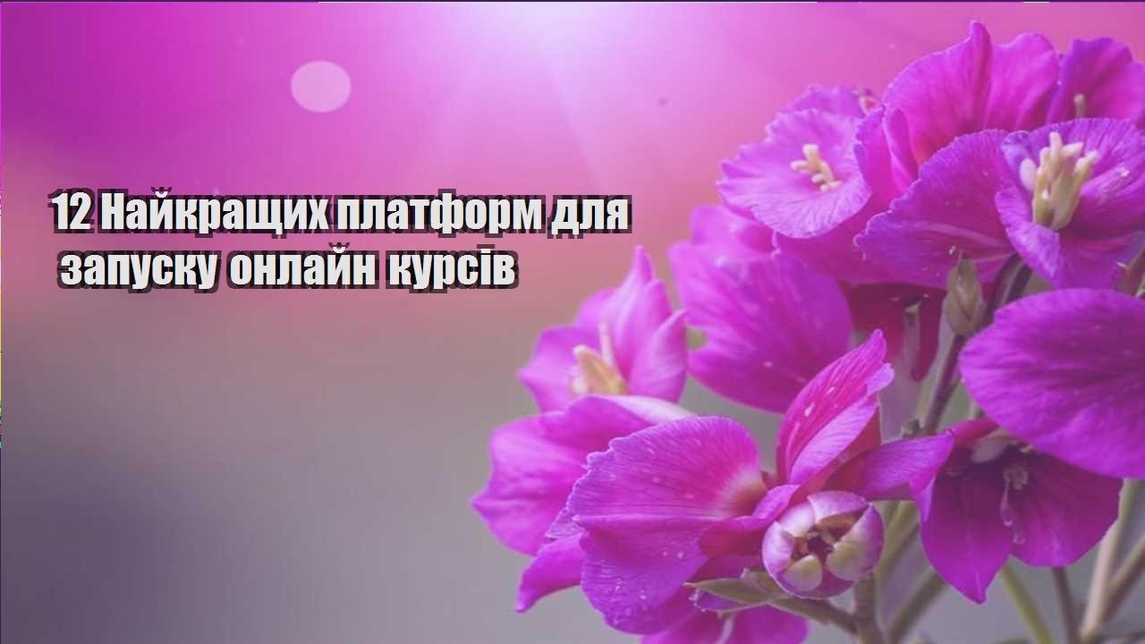 Детальніше про статтю 12 Найкращих платформ для запуску онлайн курсів