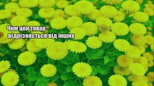Детальніше про статтю Чим цей товар відрізняється від інших