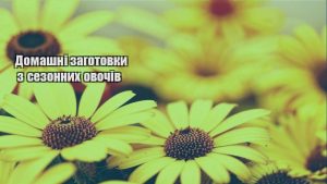 Детальніше про статтю Домашні заготовки з сезонних овочів