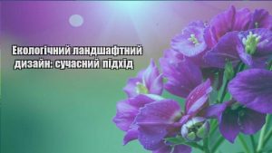 Детальніше про статтю Екологічний ландшафтний дизайн: сучасний підхід