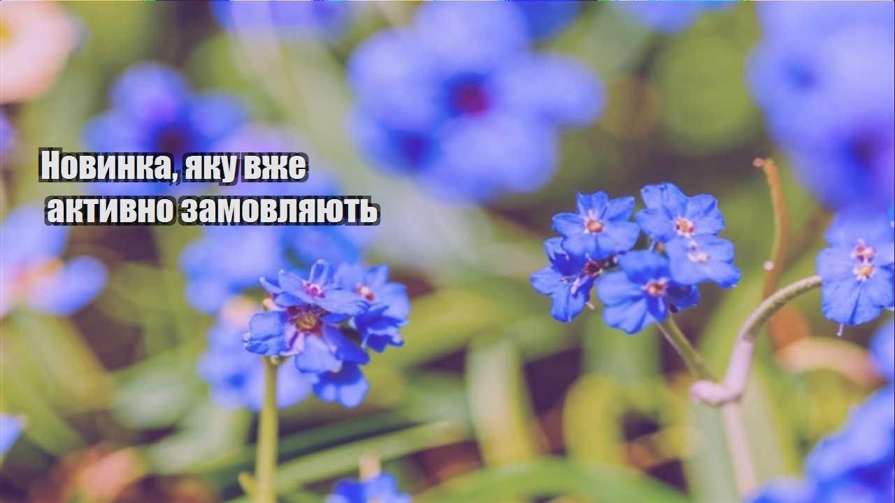 Детальніше про статтю Новинка, яку вже активно замовляють