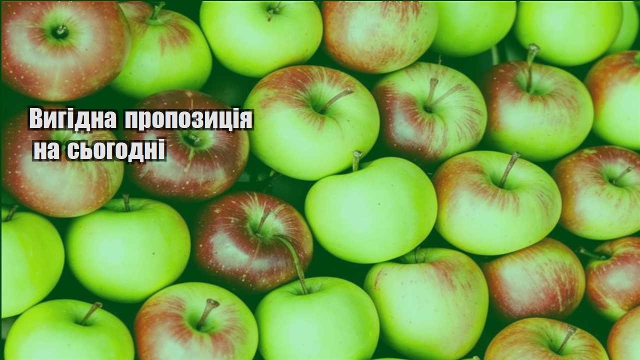 Детальніше про статтю Вигідна пропозиція на сьогодні