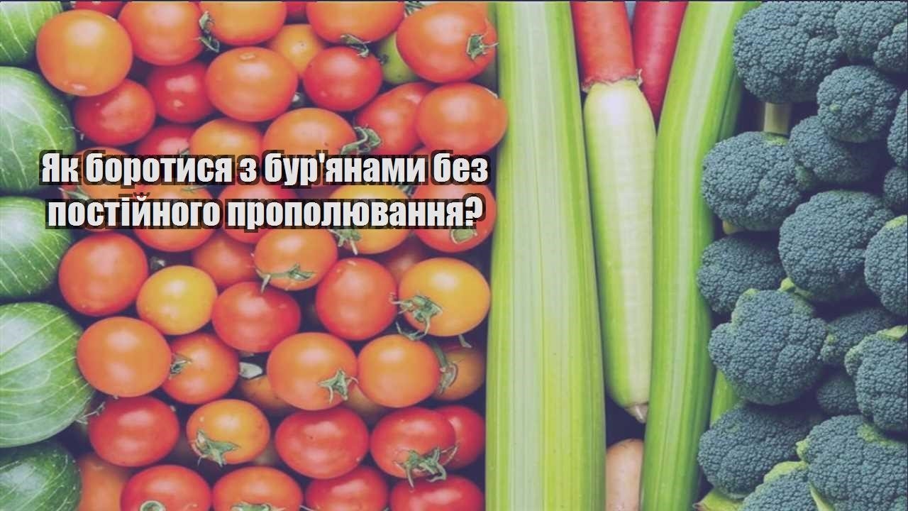 Детальніше про статтю Як боротися з бур’янами без постійного прополювання?