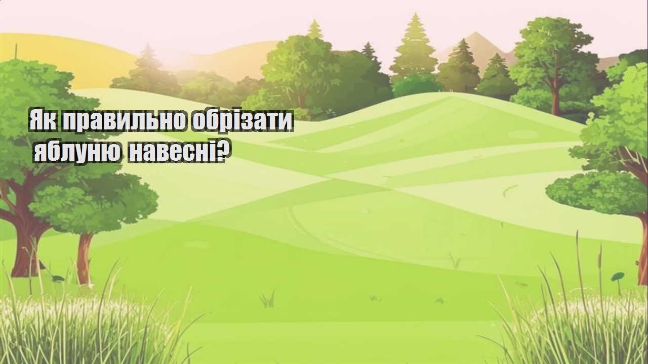 Детальніше про статтю Як правильно обрізати яблуню навесні?