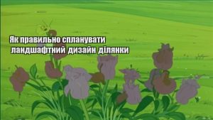 Детальніше про статтю Як правильно спланувати ландшафтний дизайн ділянки