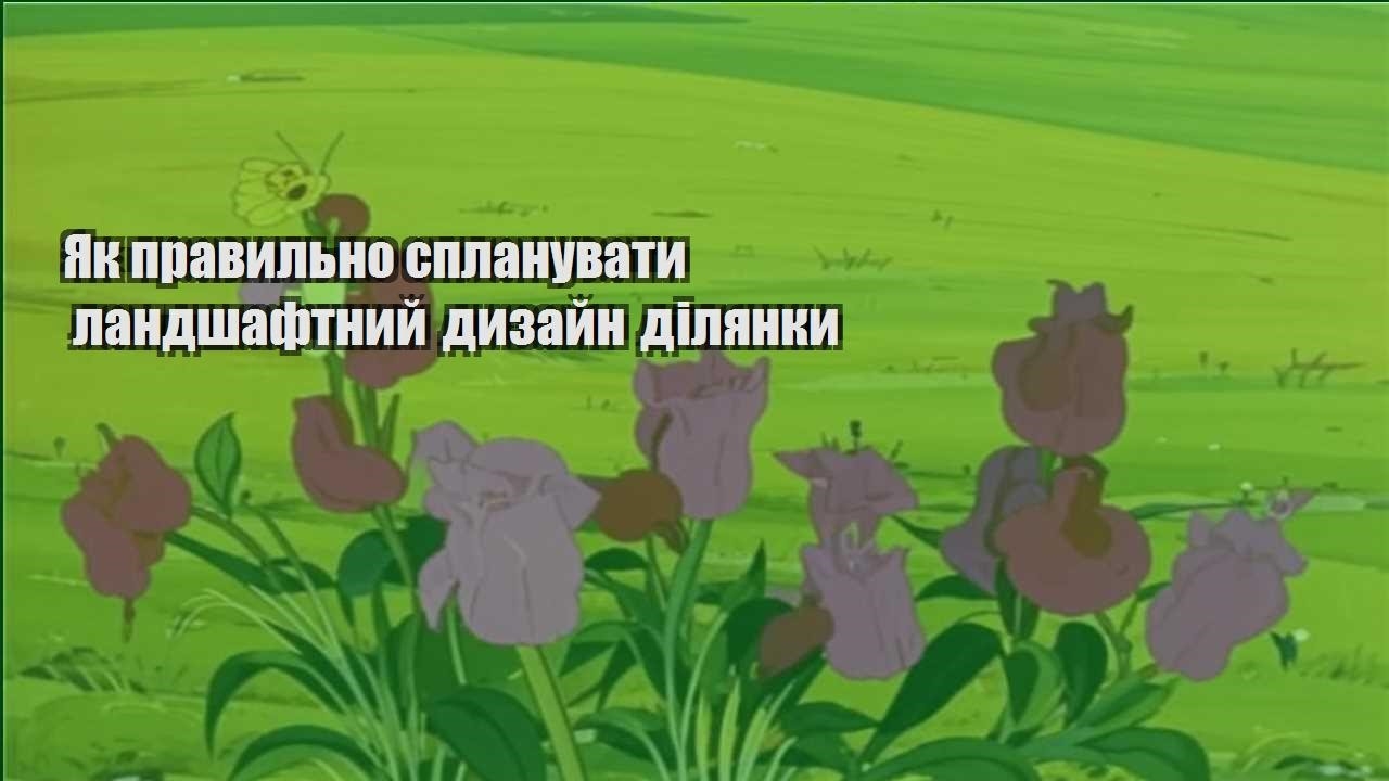 Детальніше про статтю Як правильно спланувати ландшафтний дизайн ділянки