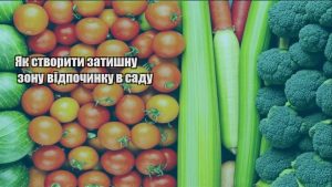 Детальніше про статтю Як створити затишну зону відпочинку в саду